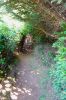 PICTURES/Samuel Boardman Scenic Corridor/t_DSC01357.JPG